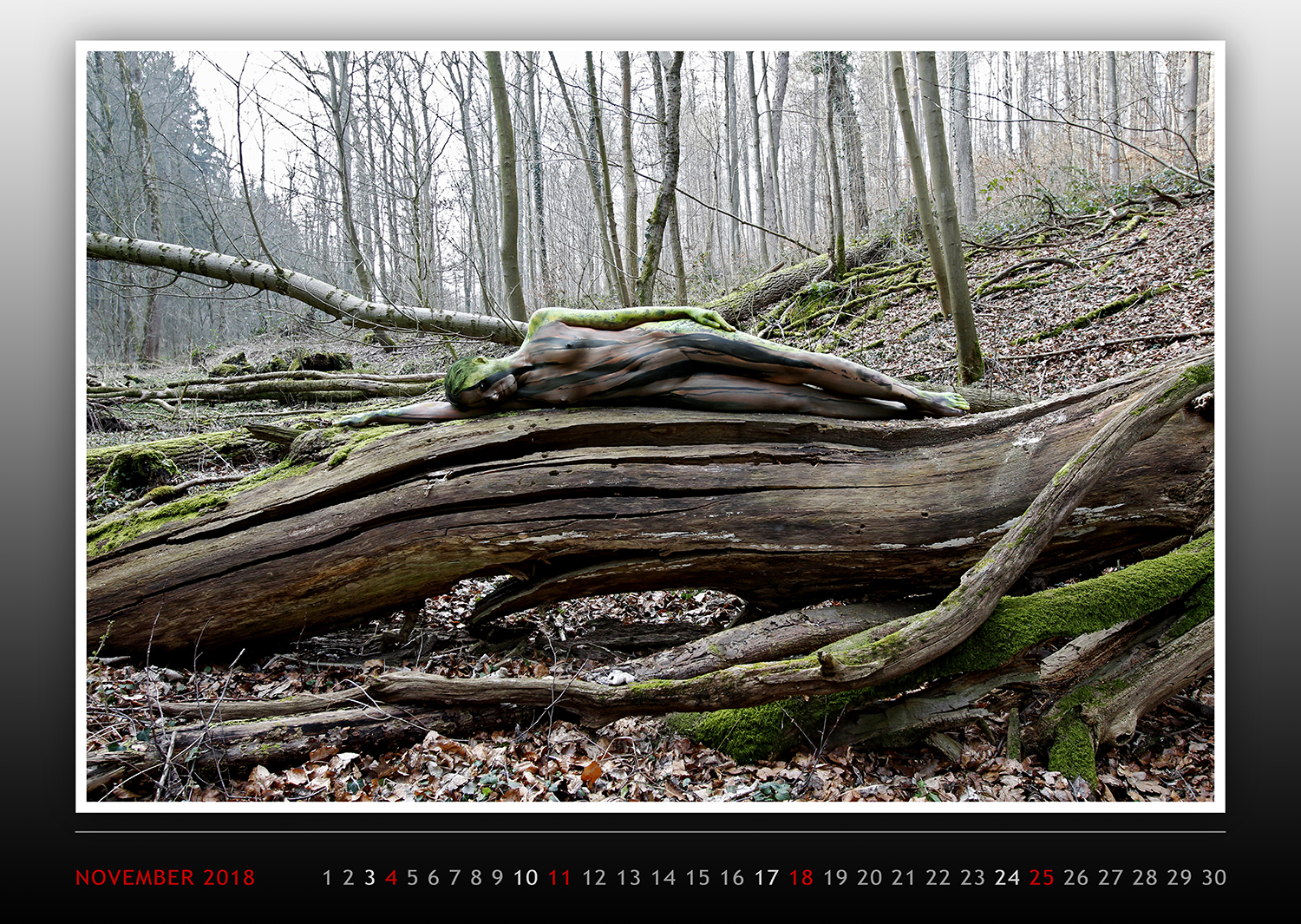Kalender 2018: Nature Art - Bodypainting in Landscapes (Einzelstück, unverschweißt) Kalender 2018: Nature Art - Bodypainting in Landscapes (Einzelstück, unverschweißt)