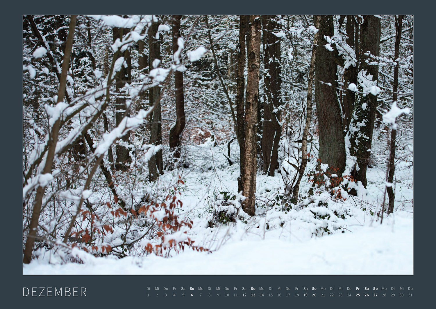 Kalender 2026: Bodypainting-Kunst, Mensch & Natur - Farbige Symbiosen (ausverkauft)