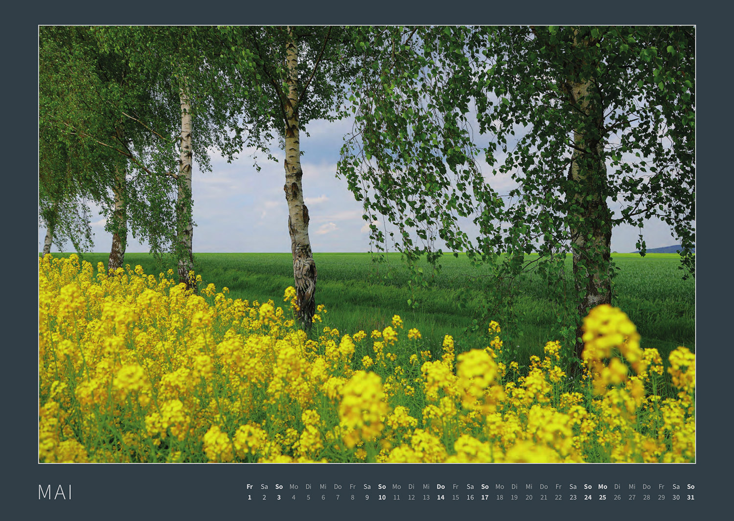 Kalender 2026: Bodypainting-Kunst, Mensch & Natur - Farbige Symbiosen (ausverkauft)