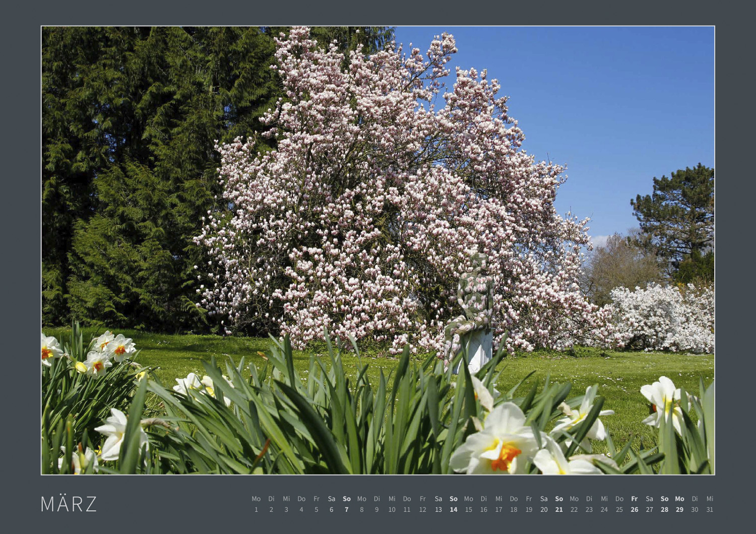Kalender 2027: Bodypainting-Kunst, Mensch & Natur - Farbige Symbiosen