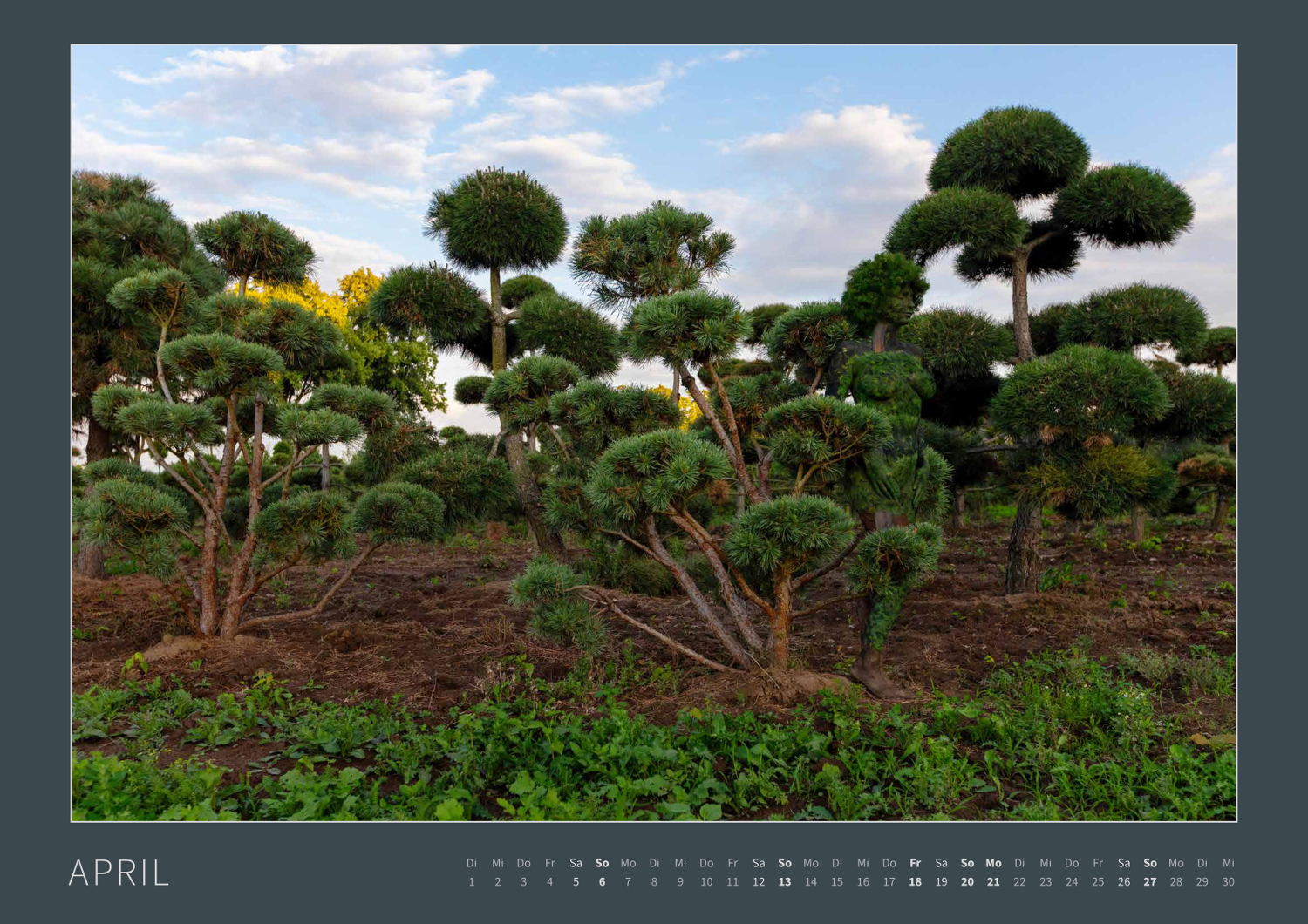 Kalender 2025: Bodypainting in Nature (ausverkauft)