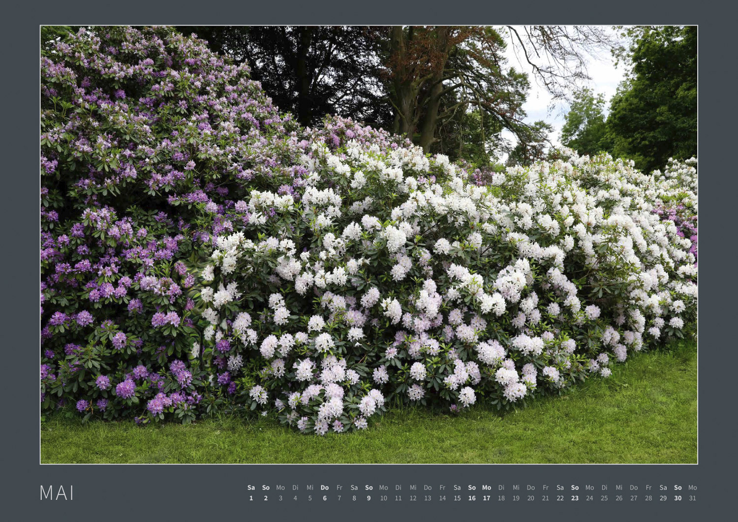 Kalender 2027: Bodypainting-Kunst, Mensch & Natur - Farbige Symbiosen