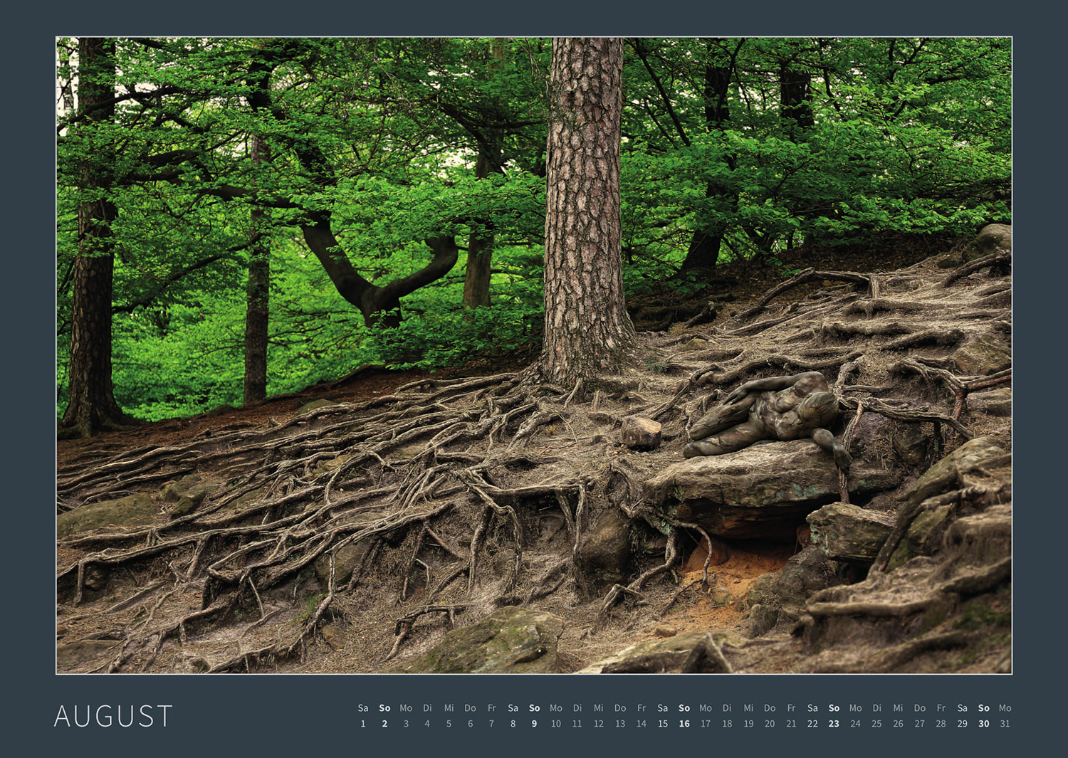 Kalender 2026: Bodypainting-Kunst, Mensch & Natur - Farbige Symbiosen (ausverkauft)