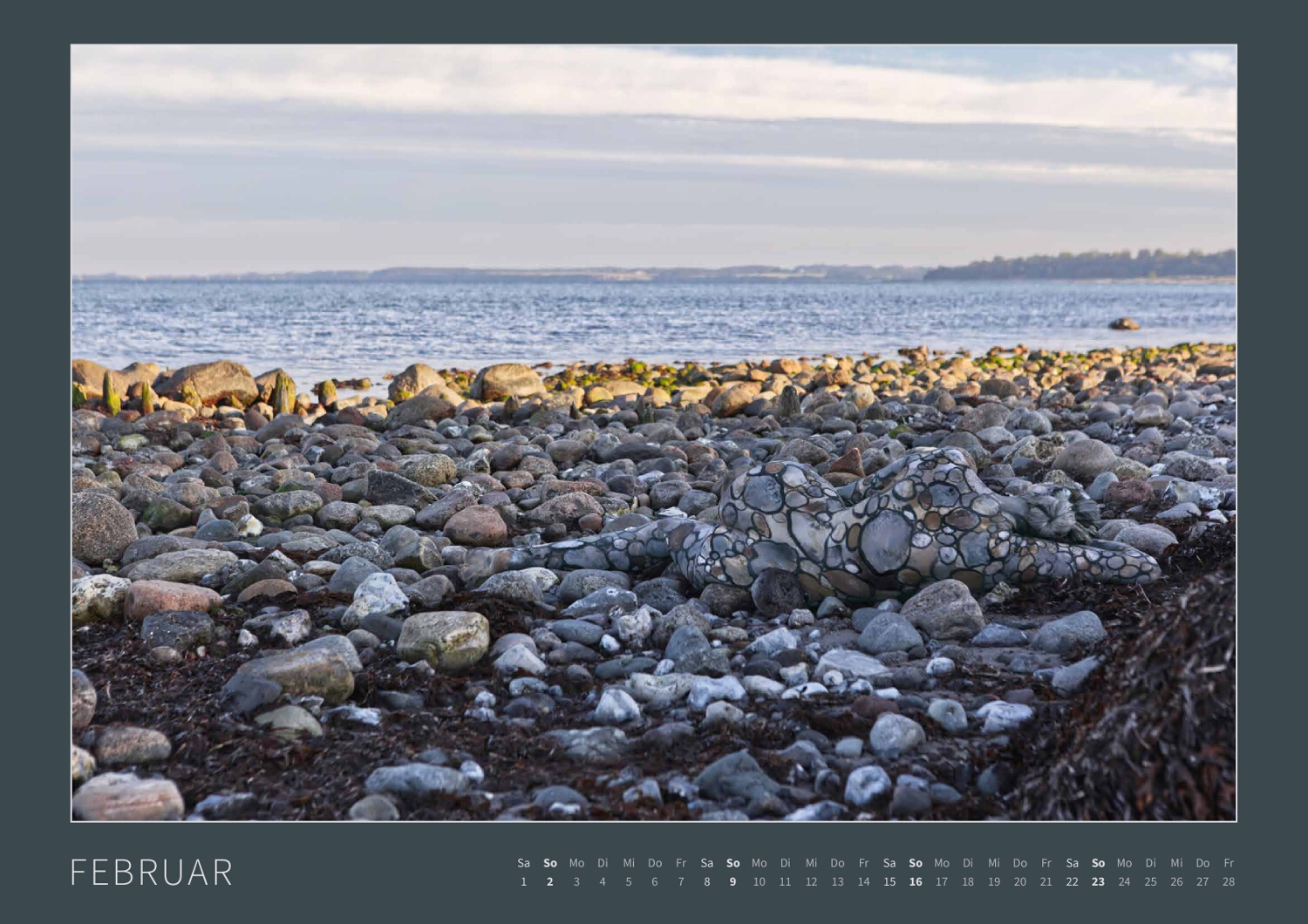 Kalender 2025: Bodypainting in Nature (ausverkauft)