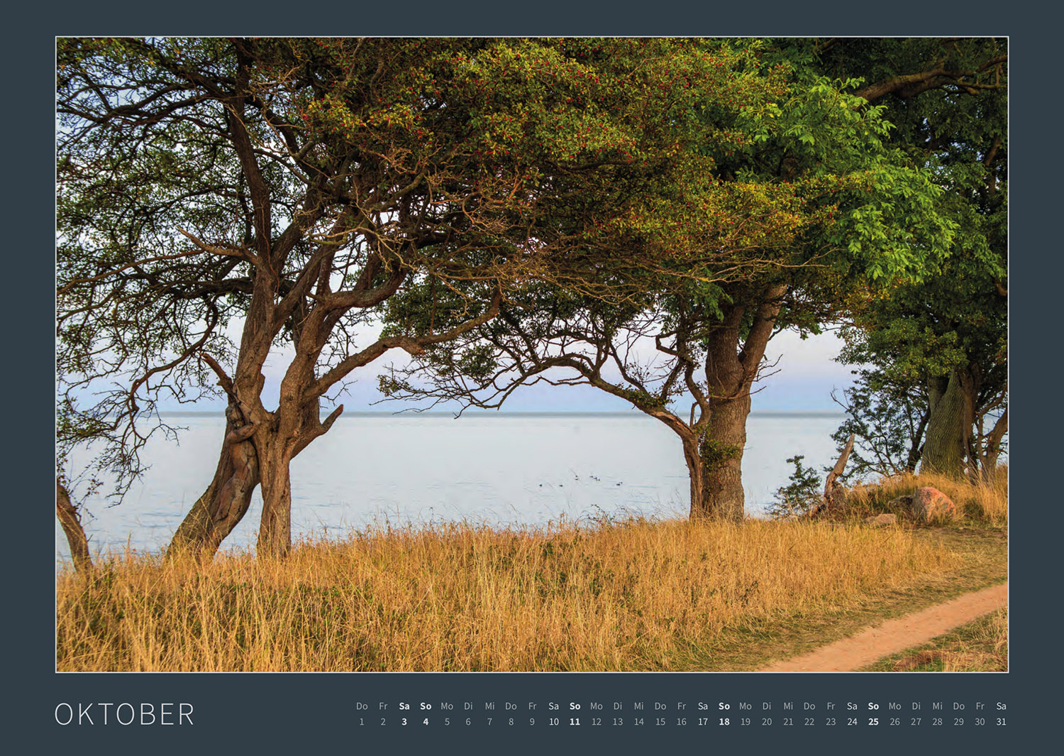 Kalender 2026: Bodypainting-Kunst, Mensch & Natur - Farbige Symbiosen (ausverkauft)