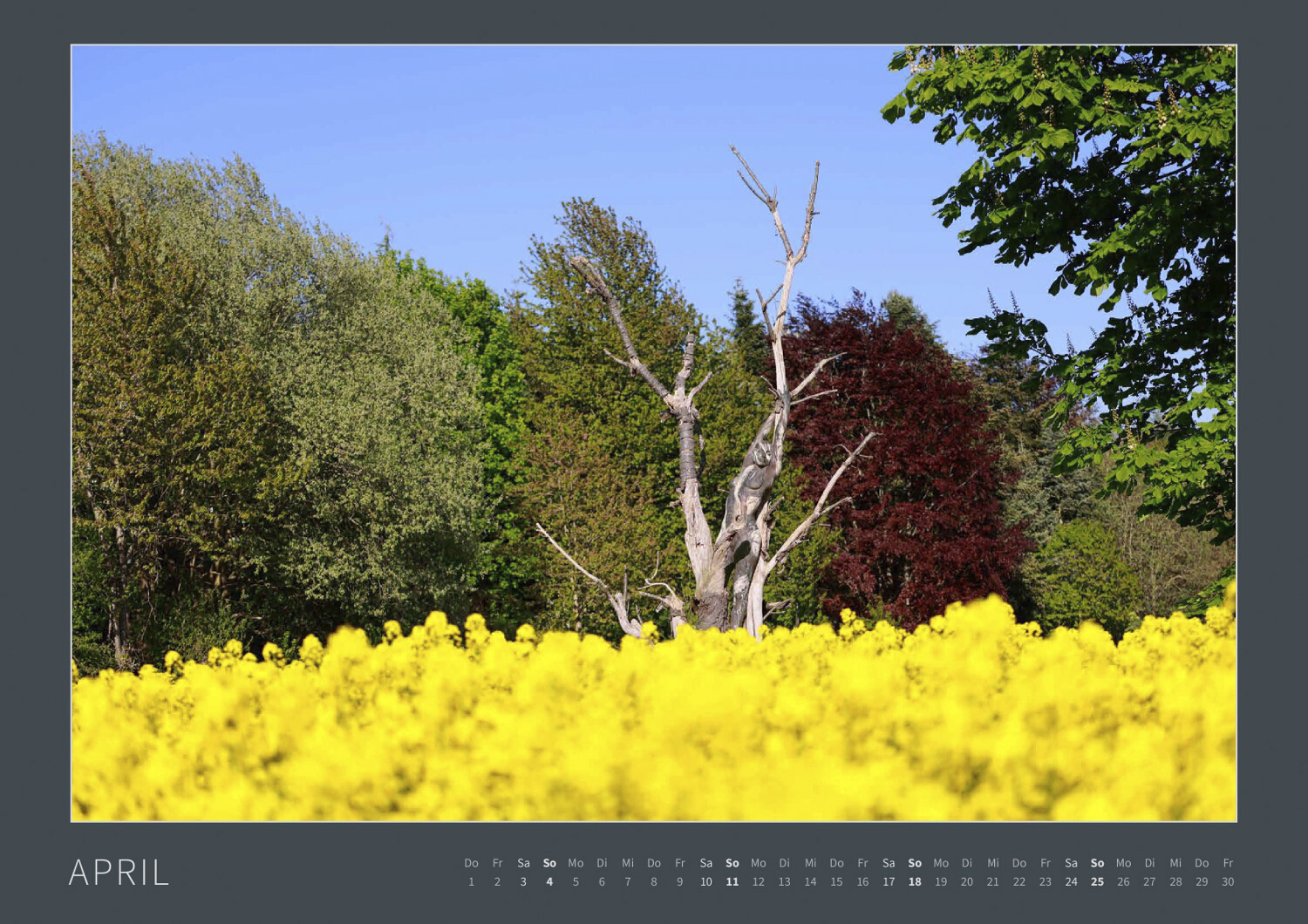 Kalender 2027: Bodypainting-Kunst, Mensch & Natur - Farbige Symbiosen