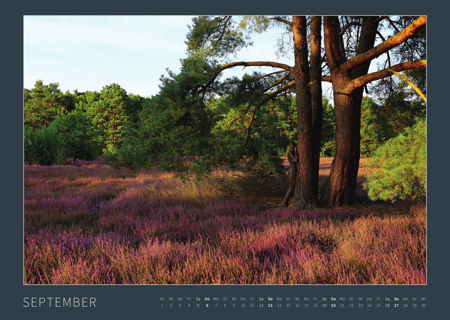 Kalender 2026: Bodypainting-Kunst, Mensch & Natur - Farbige Symbiosen (ausverkauft)