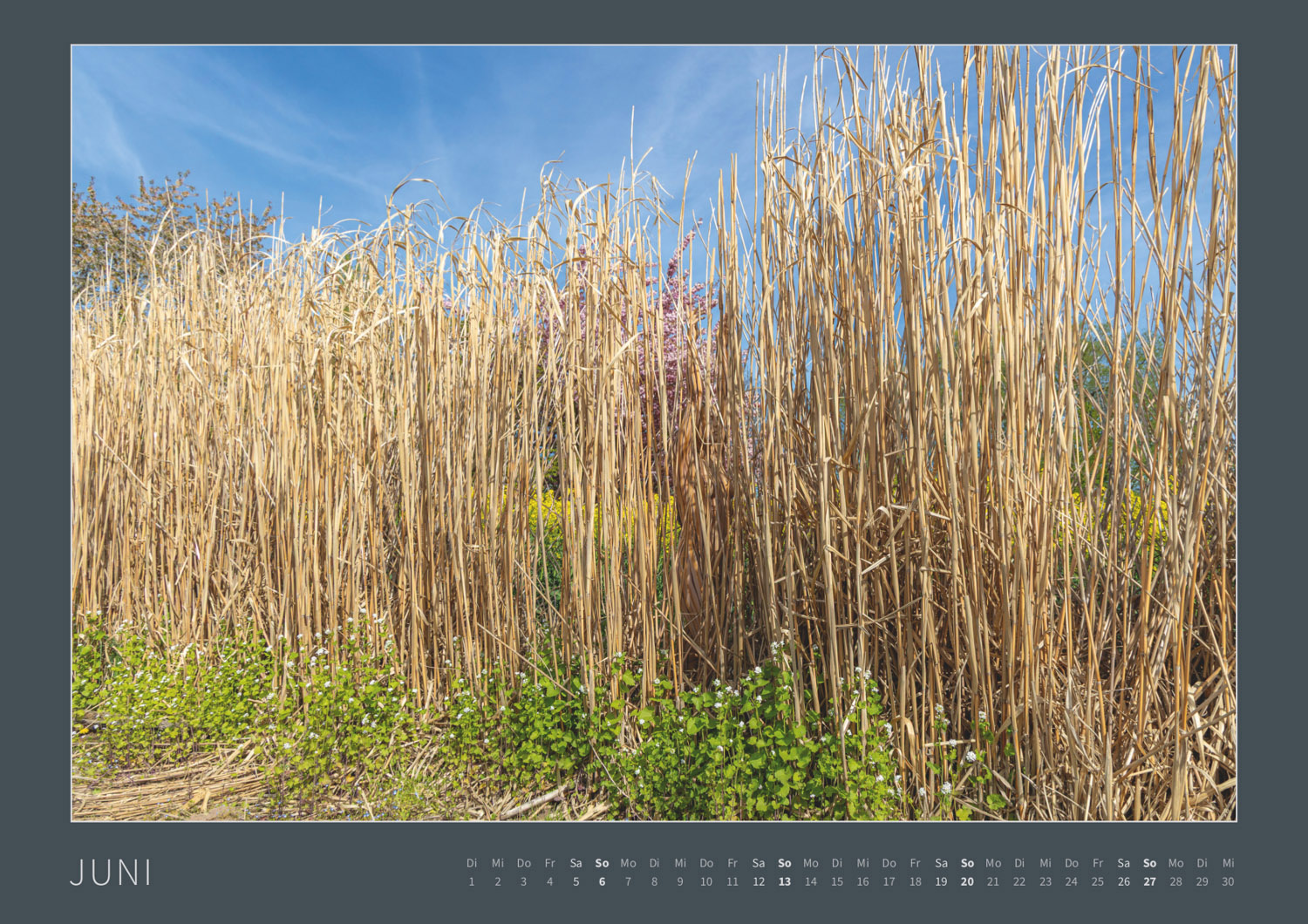 Kalender 2027: Bodypainting-Kunst, Mensch & Natur - Farbige Symbiosen