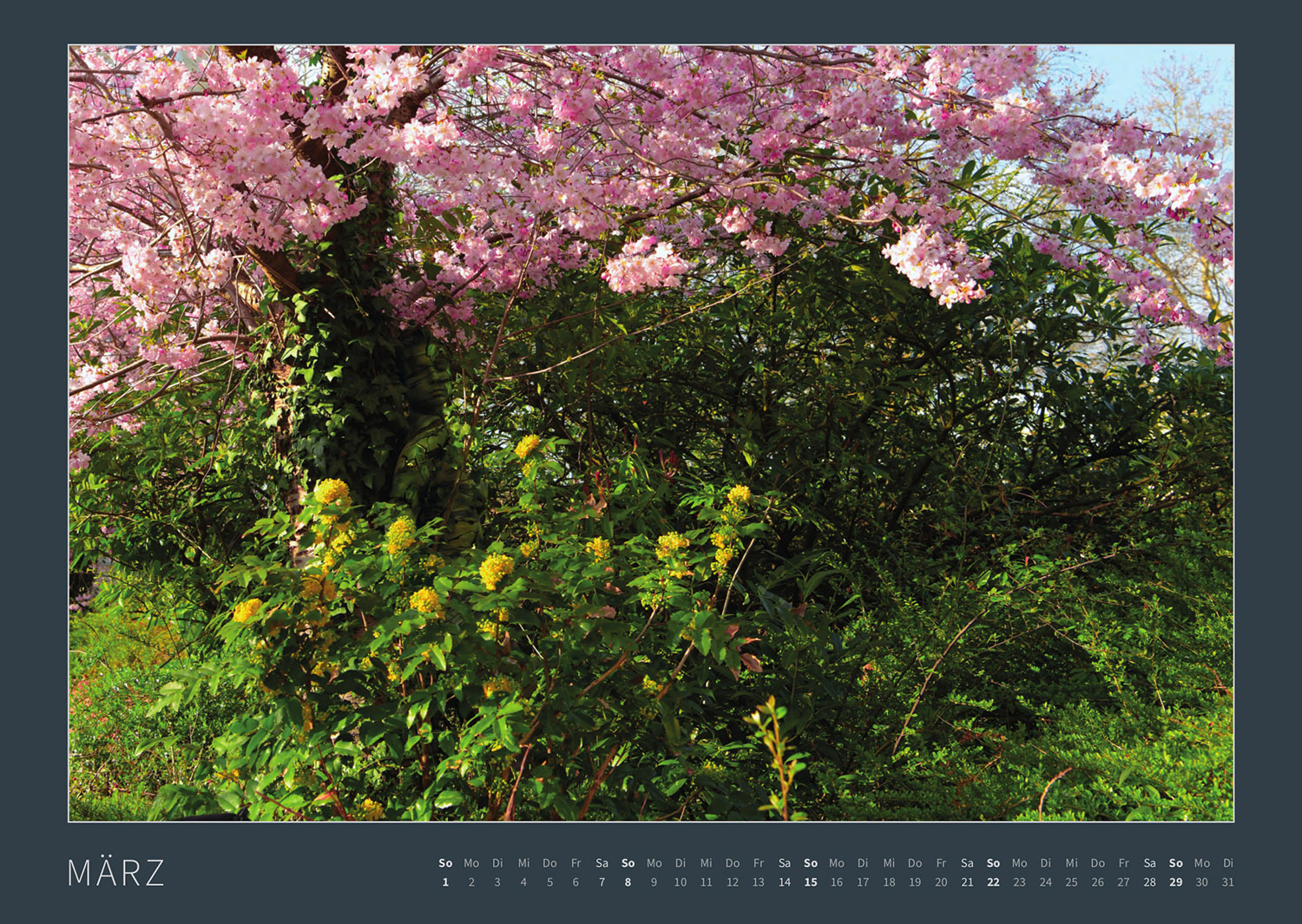 Kalender 2026: Bodypainting-Kunst, Mensch & Natur - Farbige Symbiosen (ausverkauft)